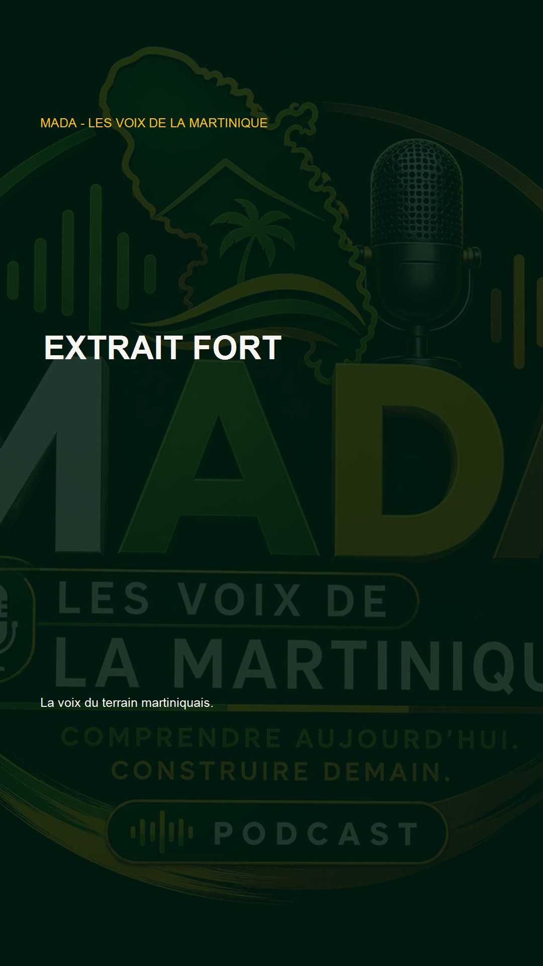 Format vertical Les Voix