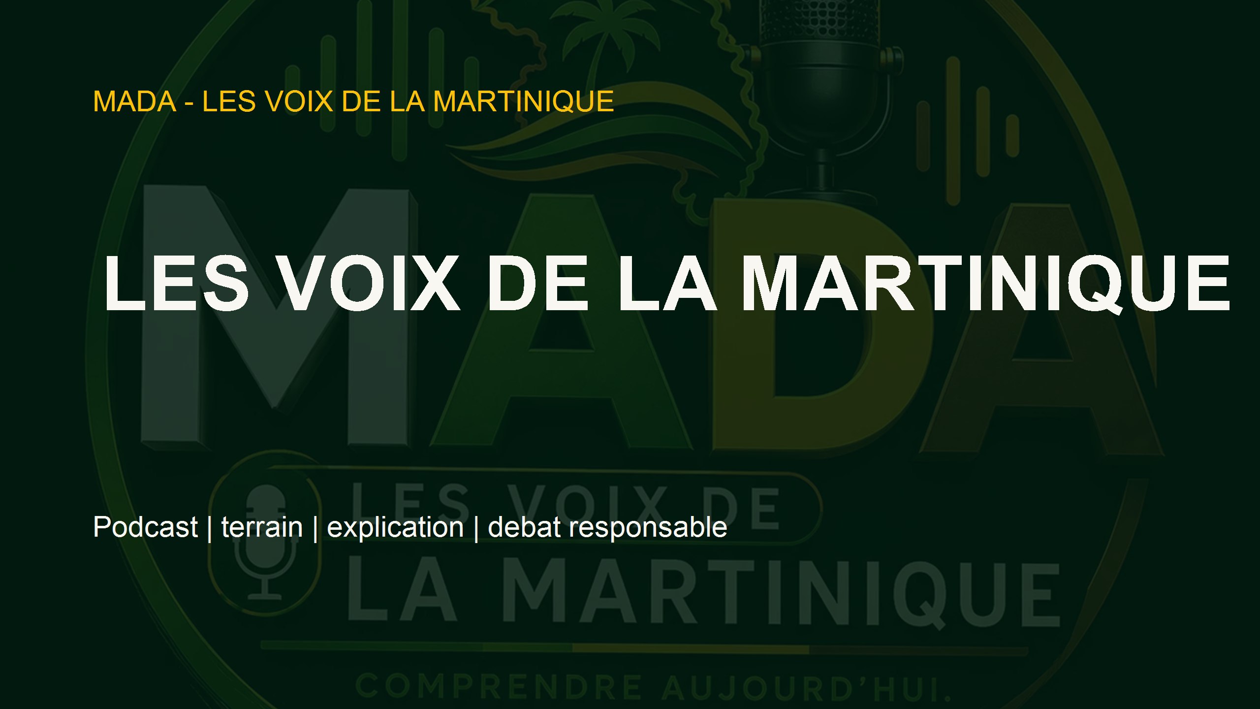 Bannière YouTube Les Voix